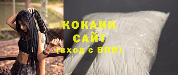 мдпв Пестово