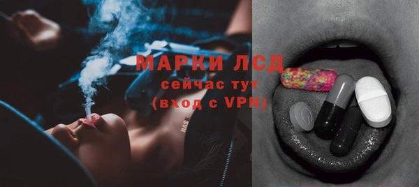 apvp Пересвет