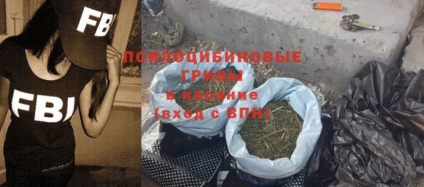 ПСИЛОЦИБИНОВЫЕ ГРИБЫ Трёхгорный