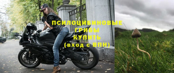 apvp Пересвет