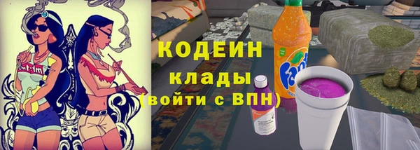 мдпв Пестово