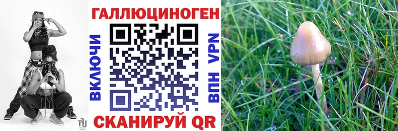 Галлюциногенные грибы Magic Shrooms  MEGA зеркало  Суоярви 